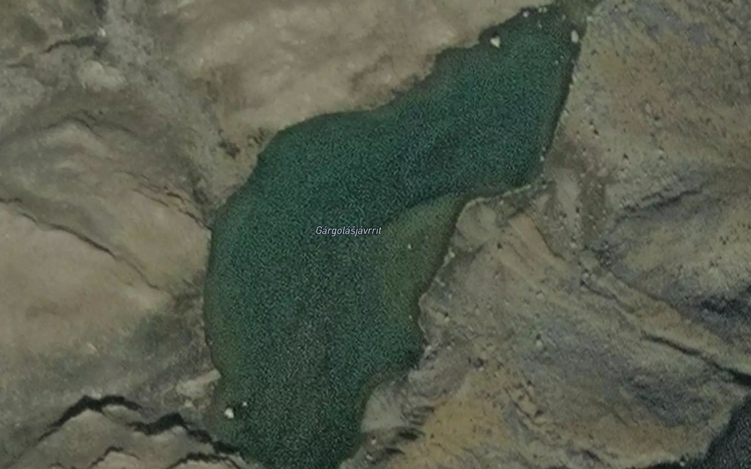 Gargolasjavrrit