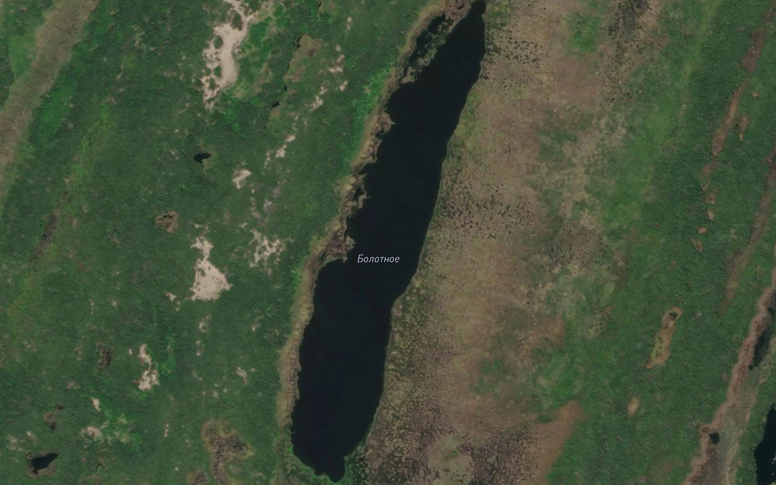 Ozero Bolotnoye