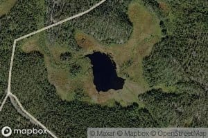 Sitkiolampi