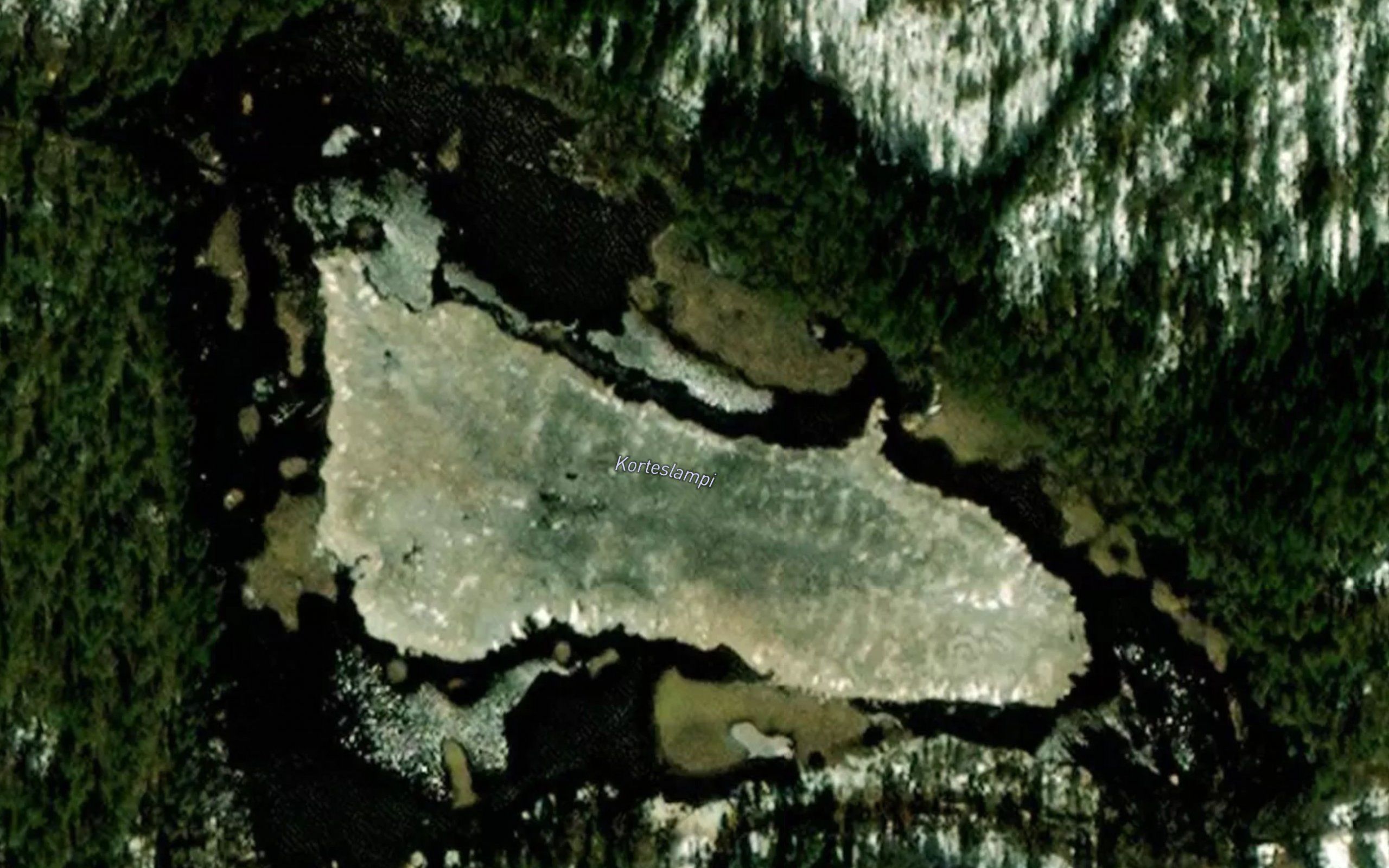 Korteslampi