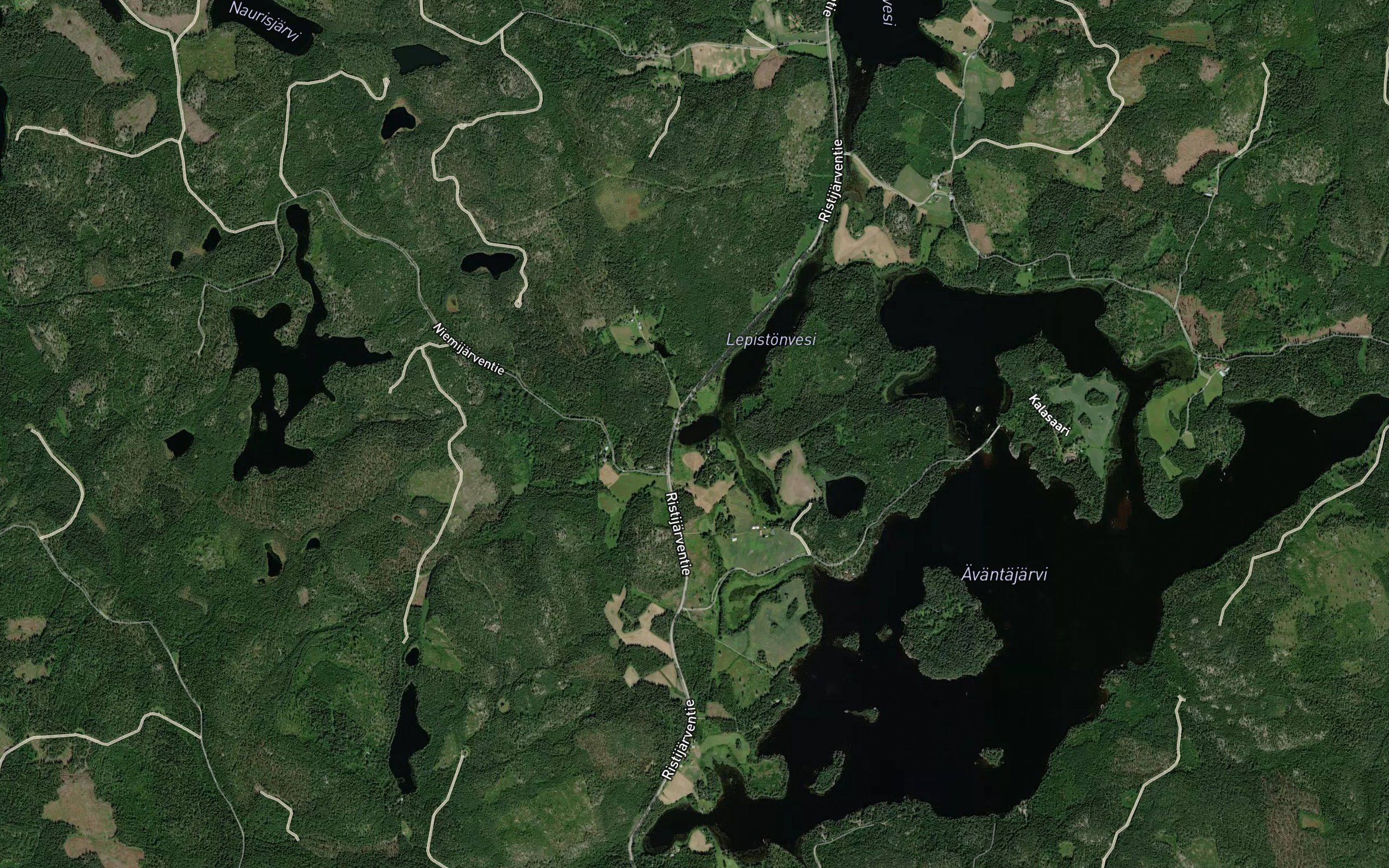 Sammalistonpohja
