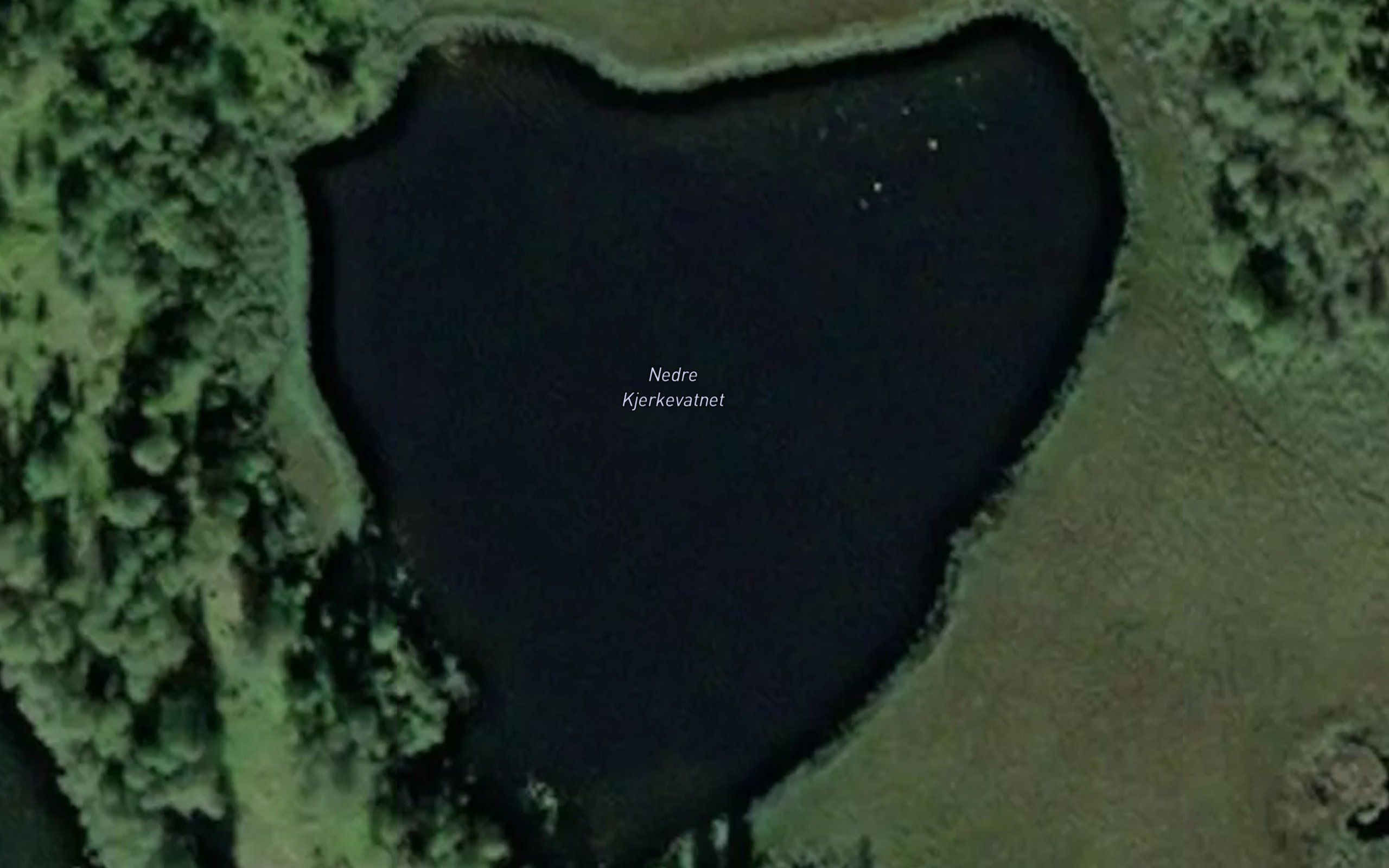 Kjerkevatnet,nedre