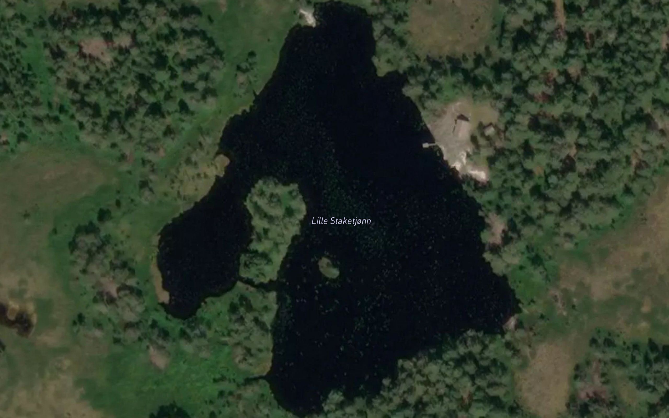 Lille Staketjonn