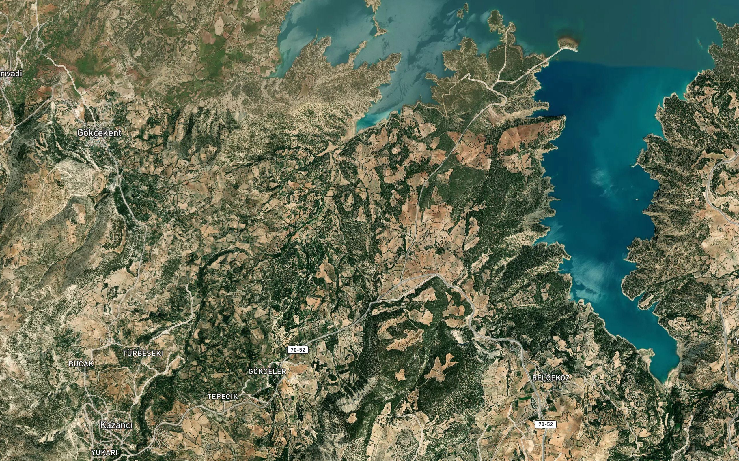 Gogestos Pinari