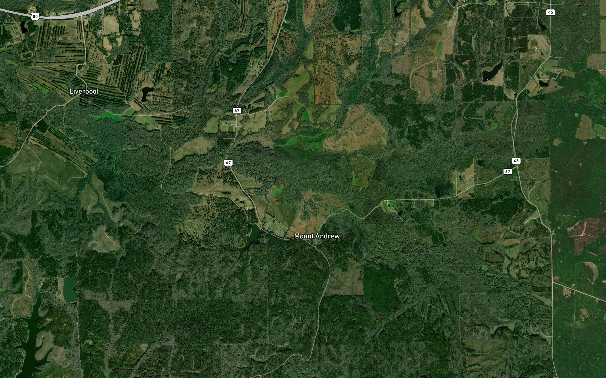 Persimmon Creek