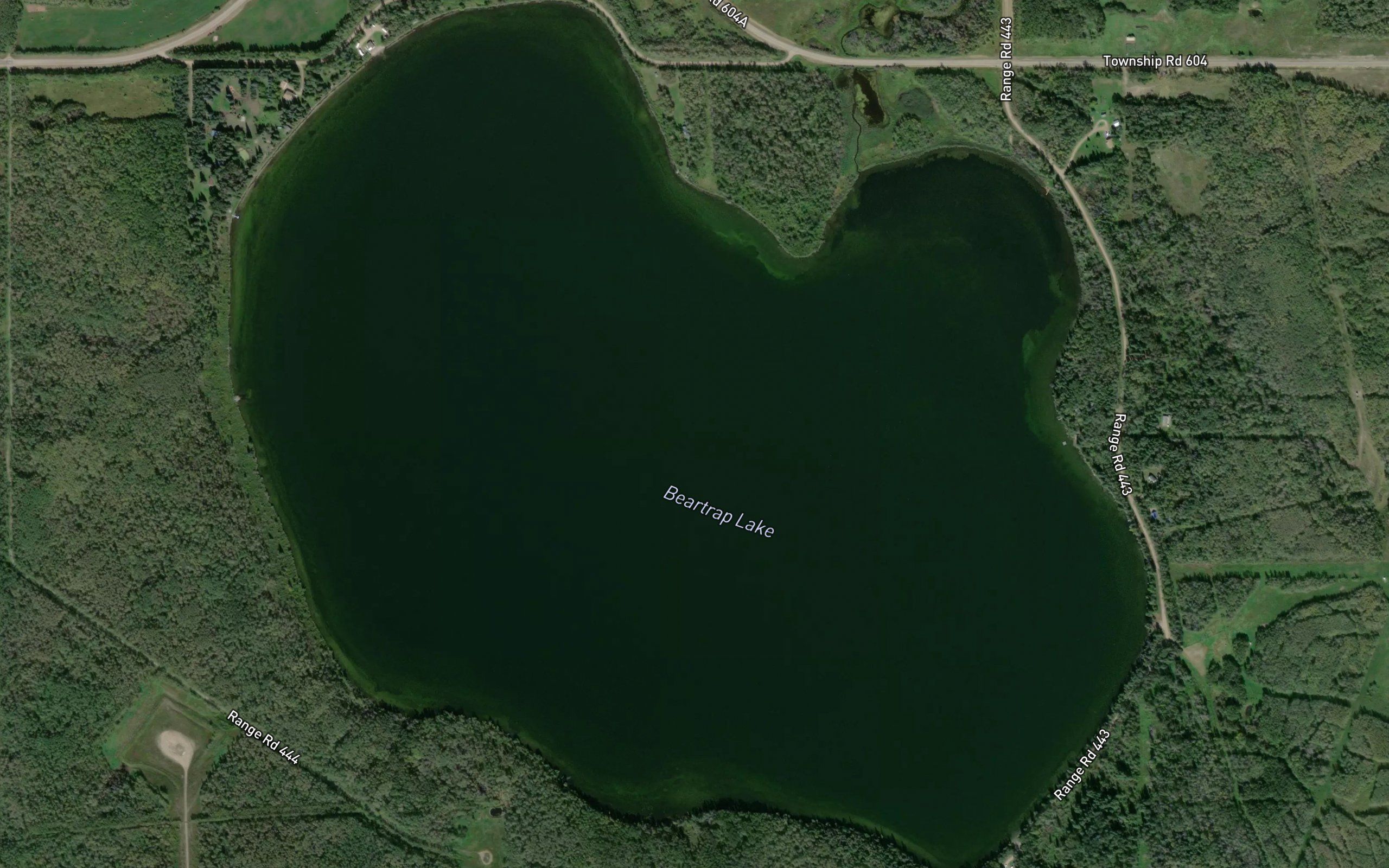 Beartrap Lake