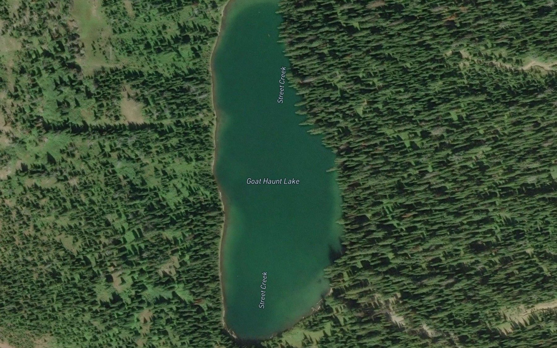 Satellite map of the Goat Haunt Lake