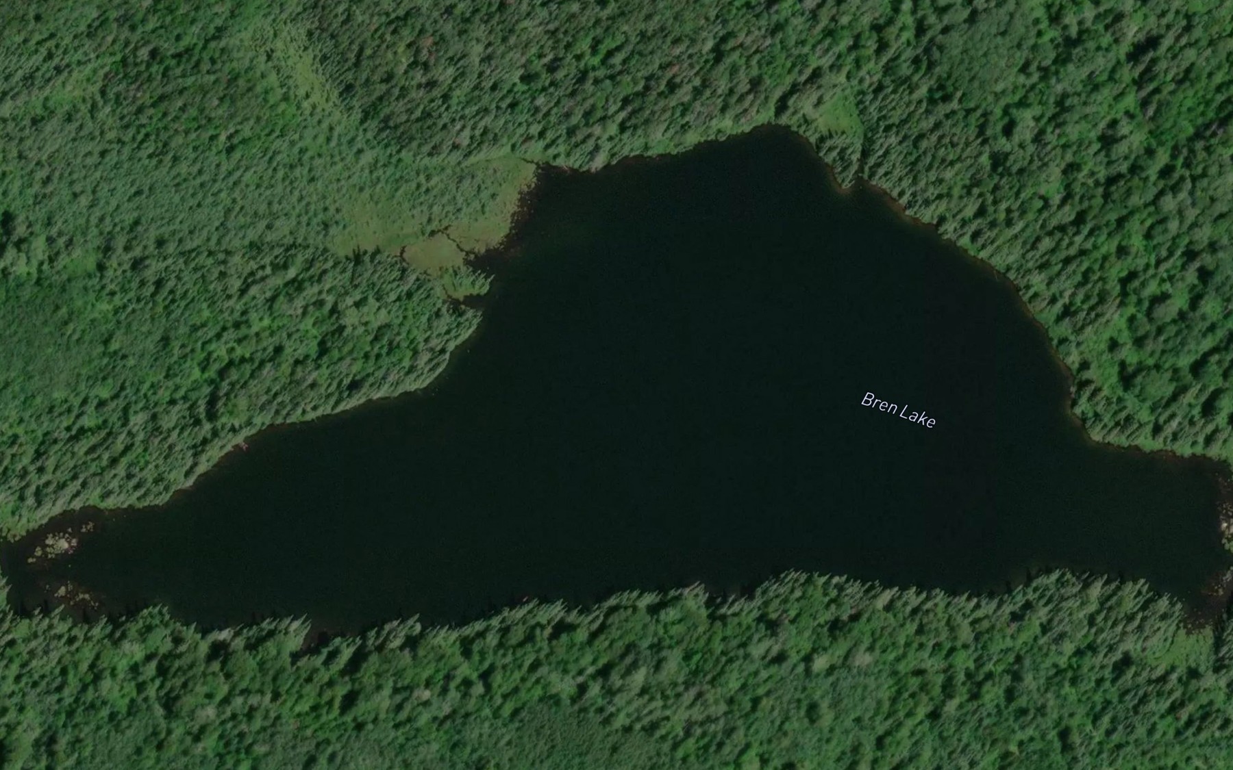 Satellite map of the Bren Lake