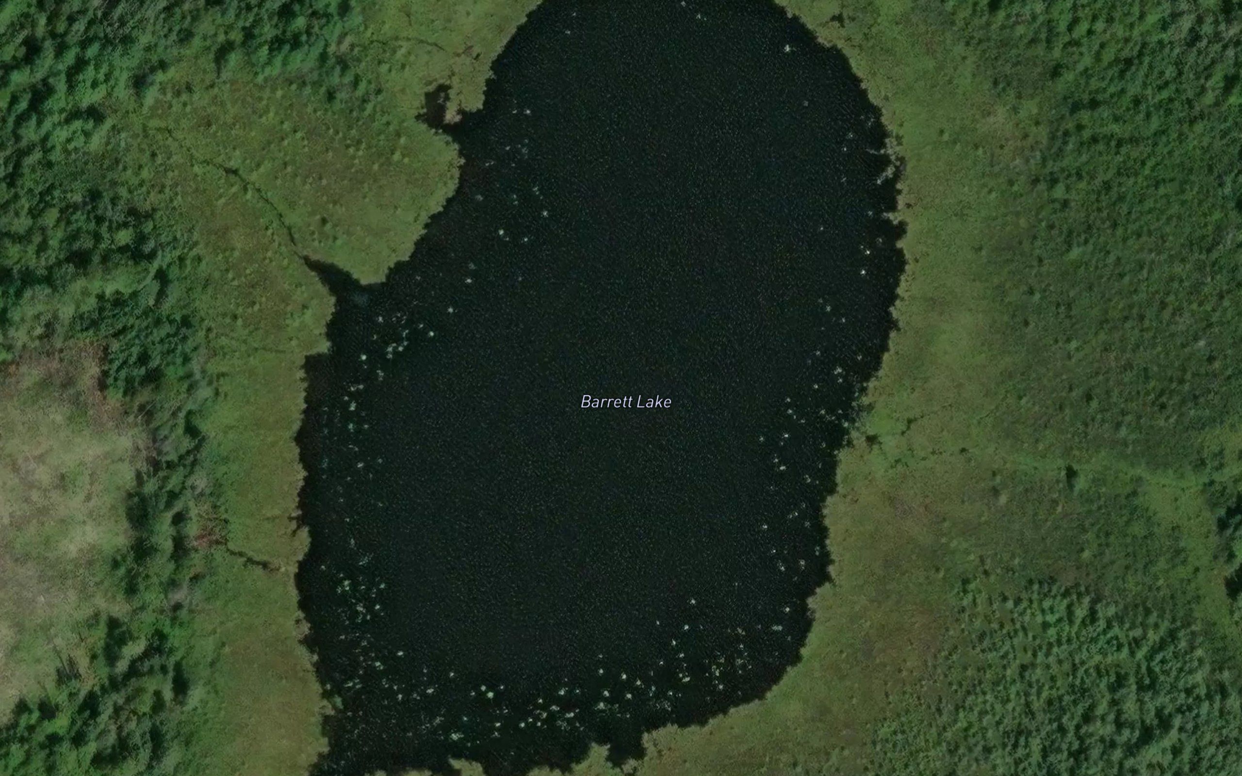 Barrett Lake