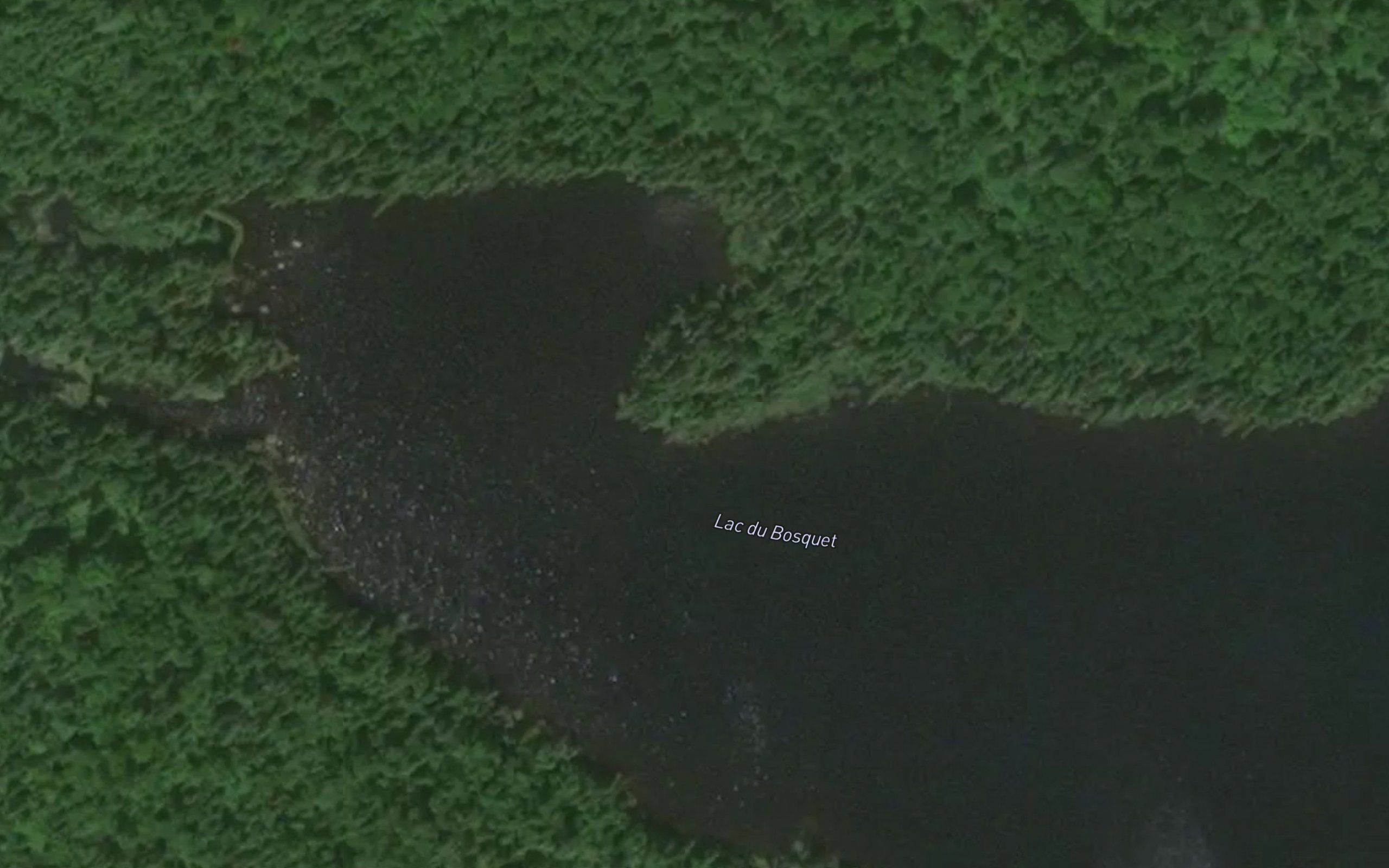 Lac du Bosquet