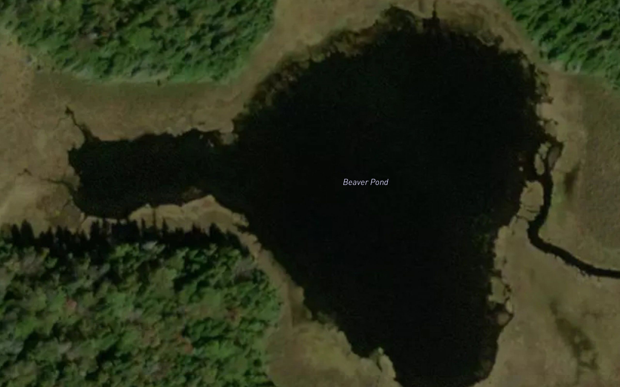 Beaver Pond