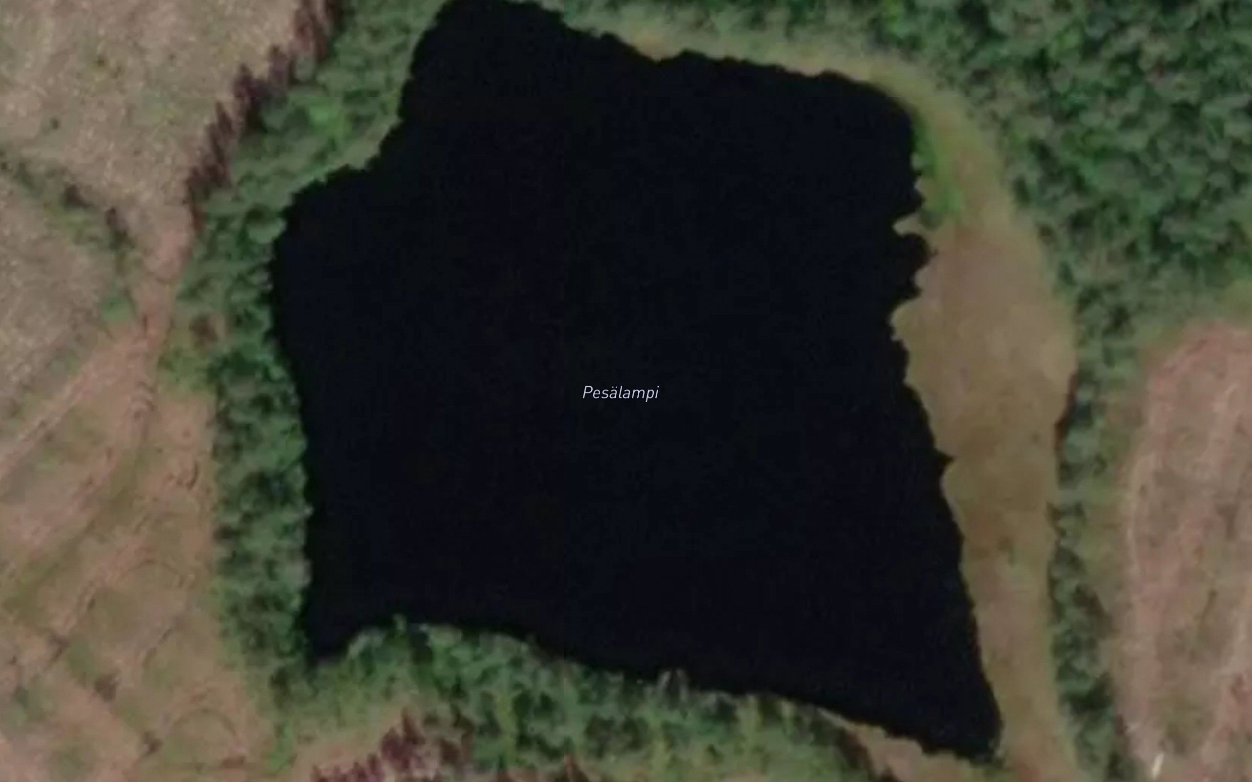 Pesalampi