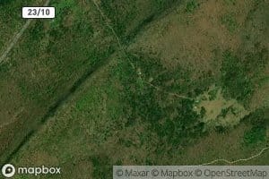 Winfred Tharp Spring