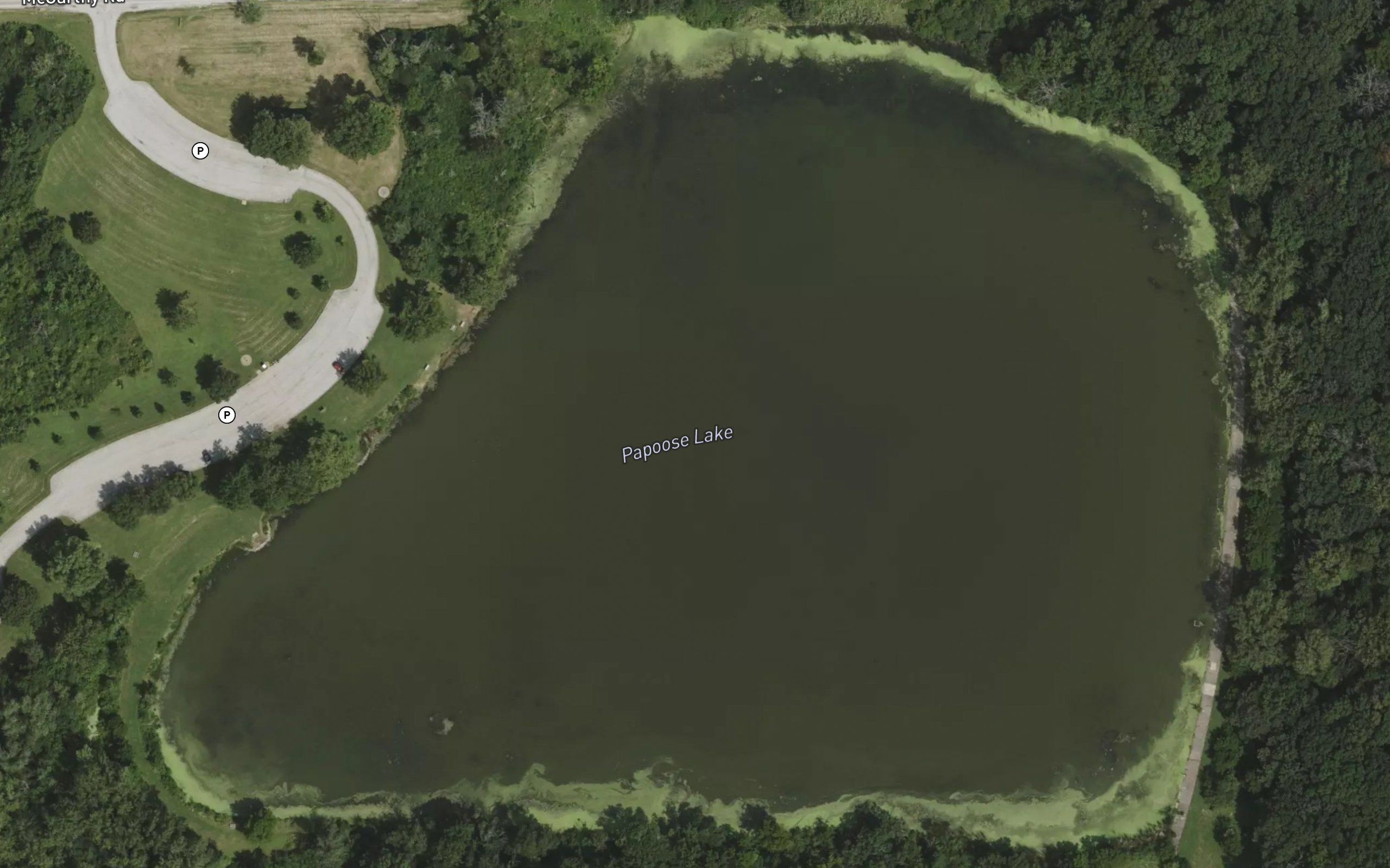 Papoose Lake