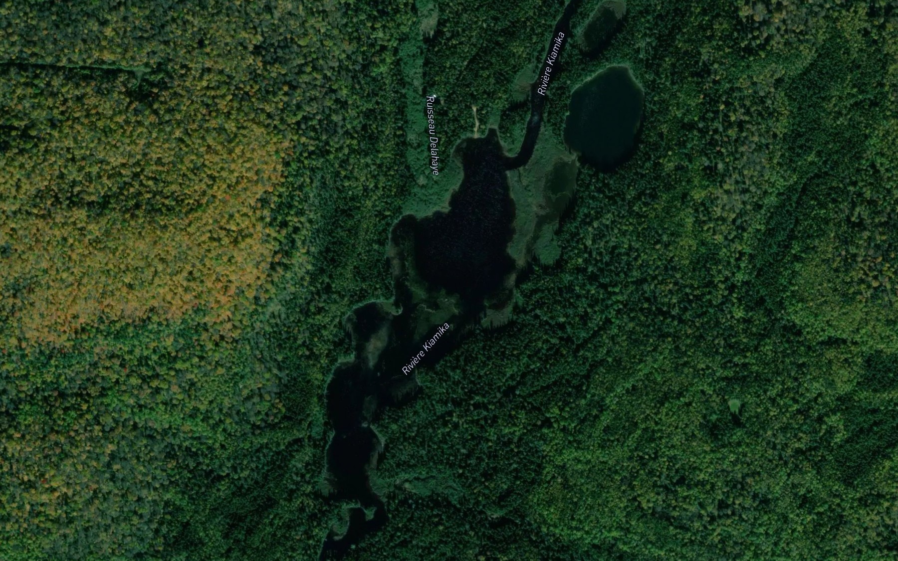 Satellite map of the Lac Nestor