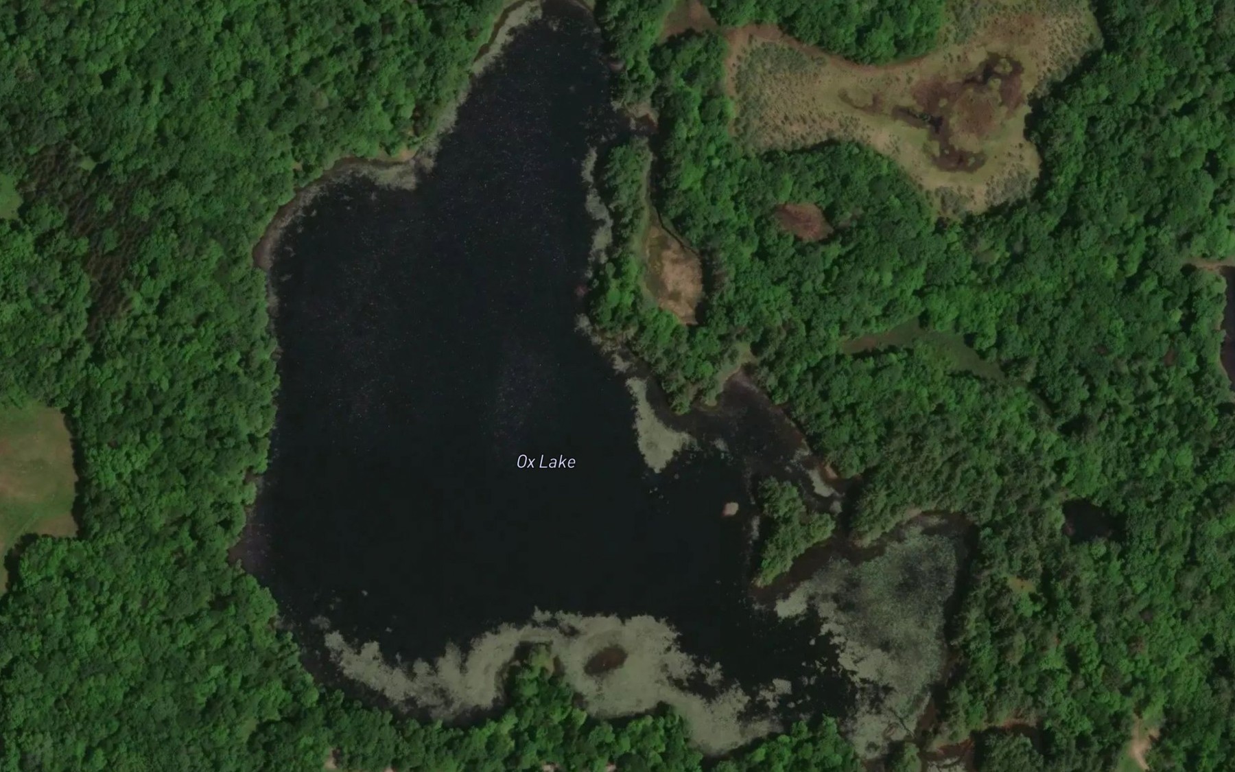 Satellite map of the Ox Lake