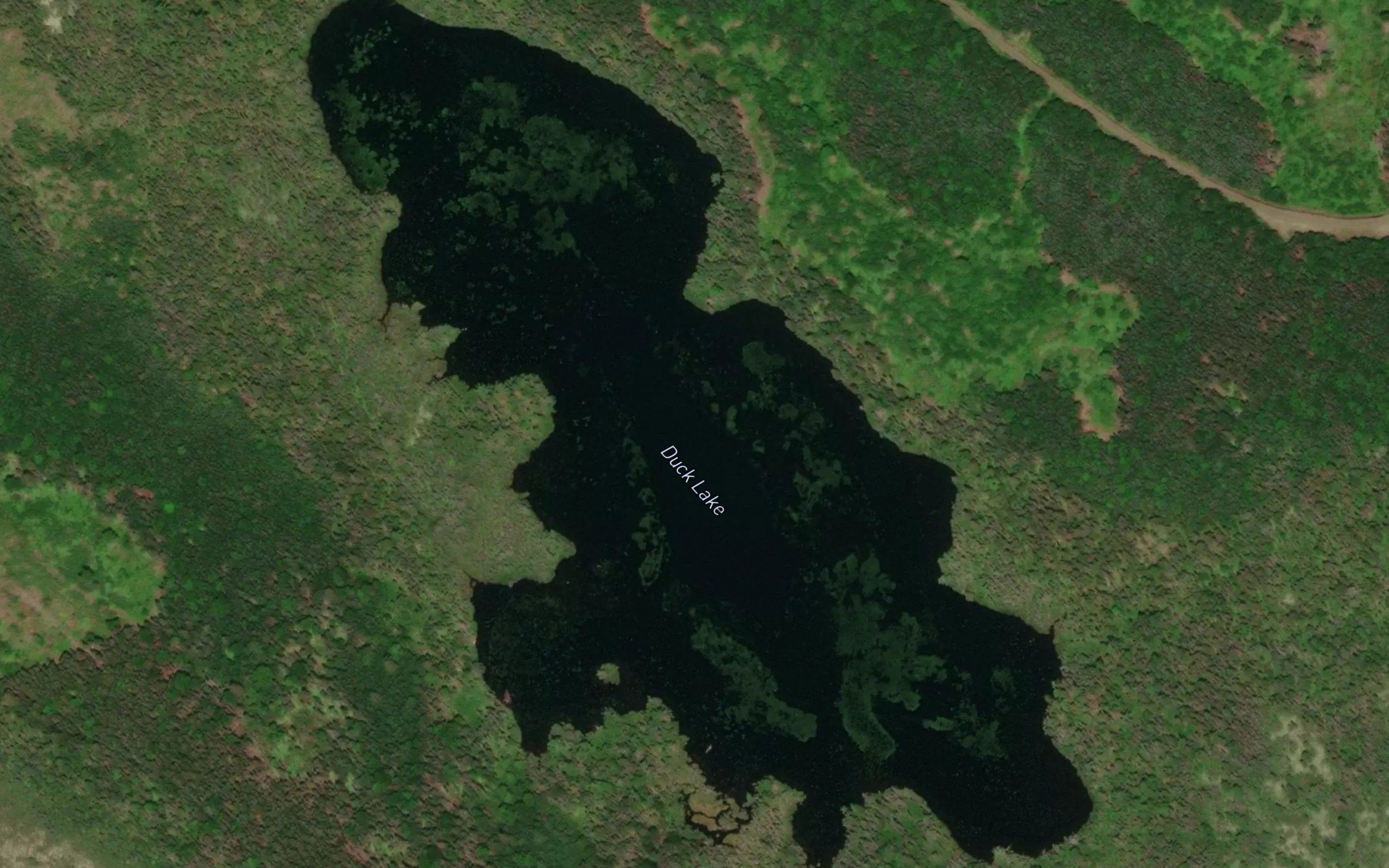 Duck Lake