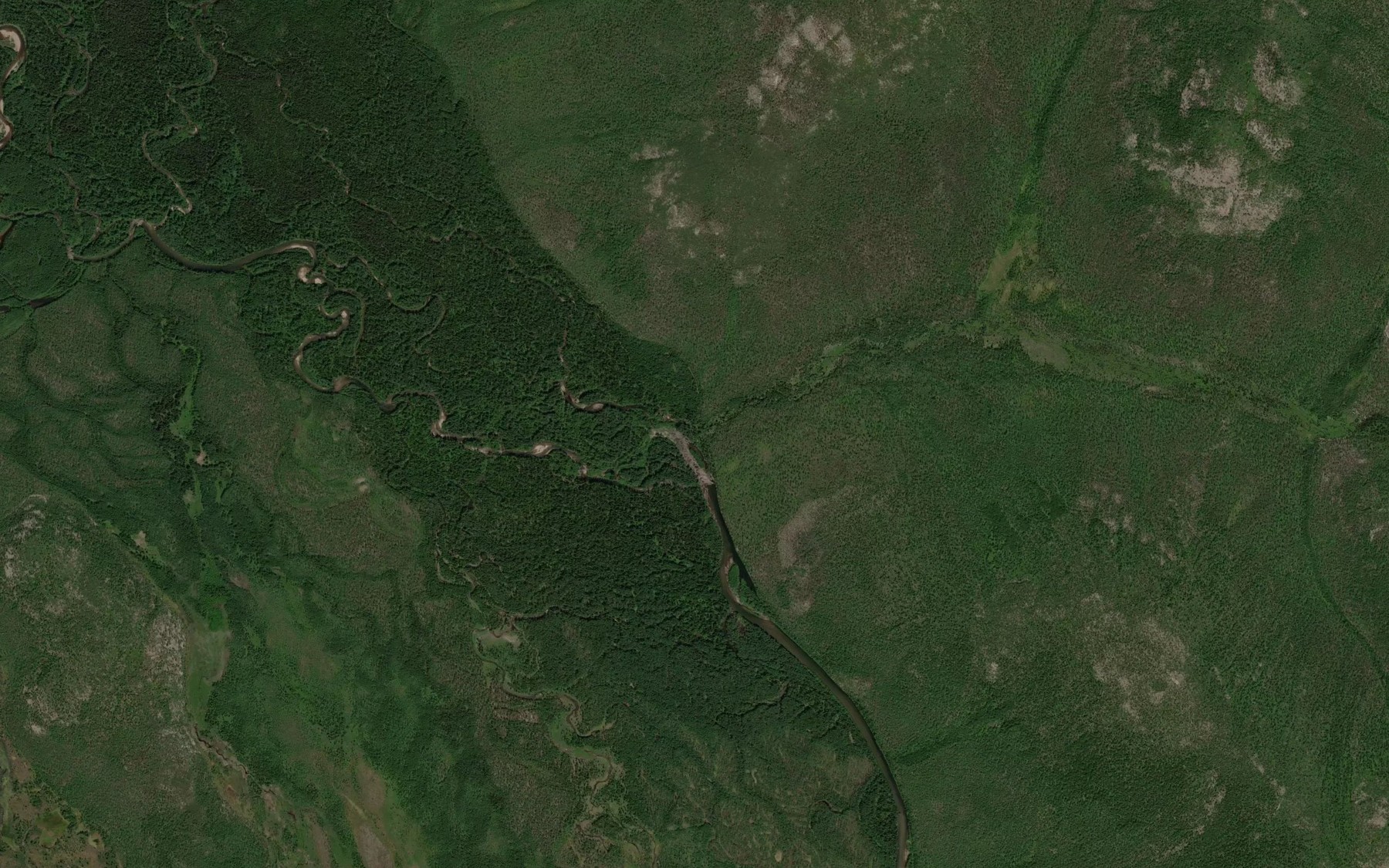 Satellite map of the Vetvistyy