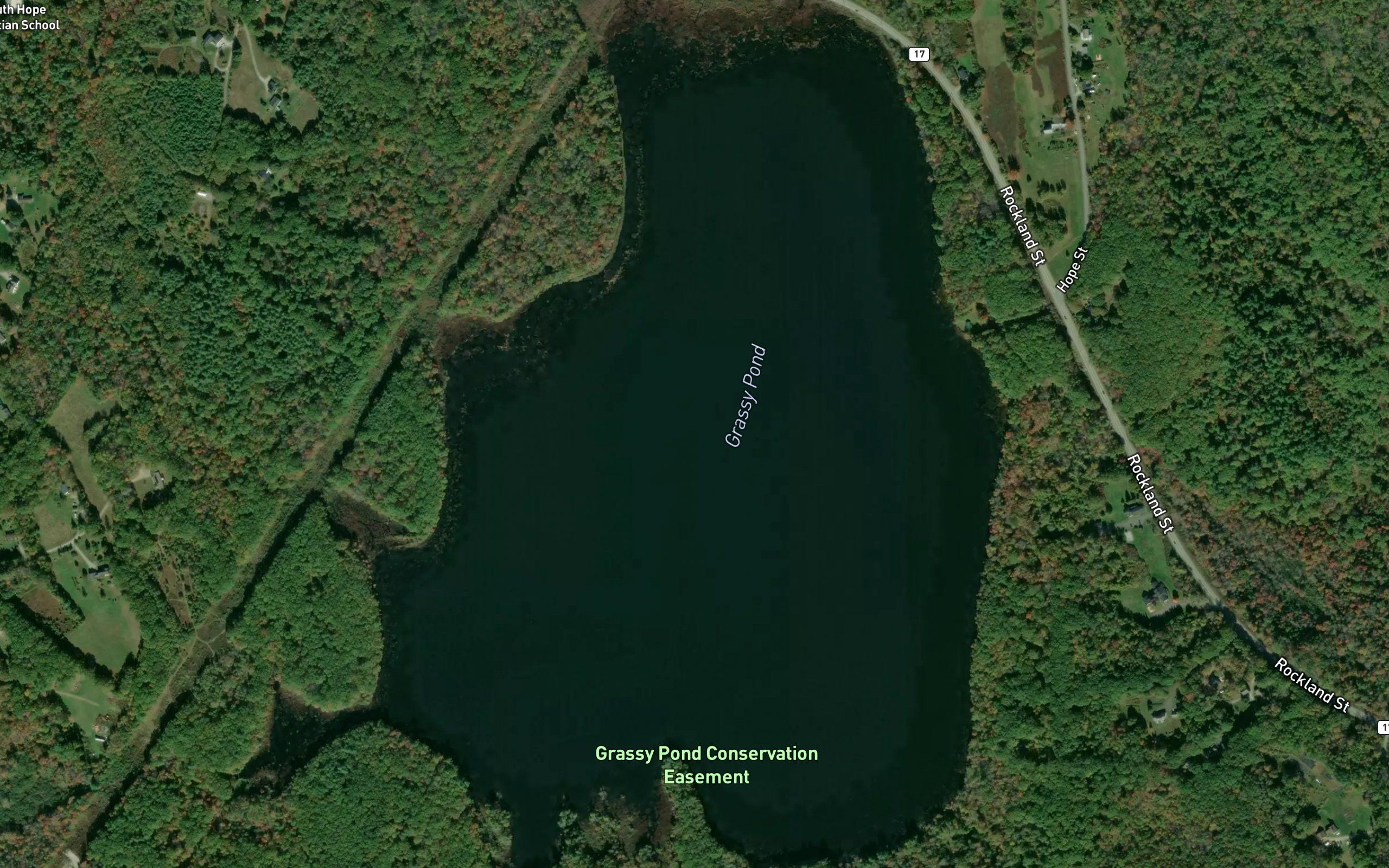 Grassy Pond