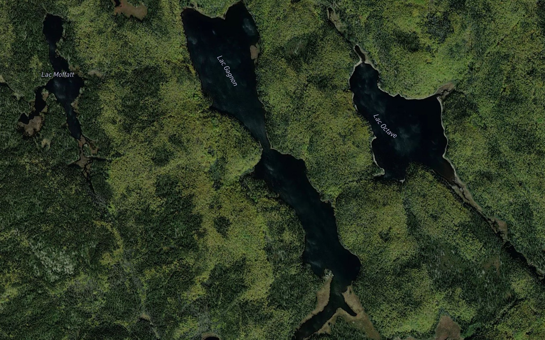 Satellite map of the Lac Gagnon