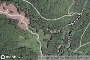 Kempson Creek