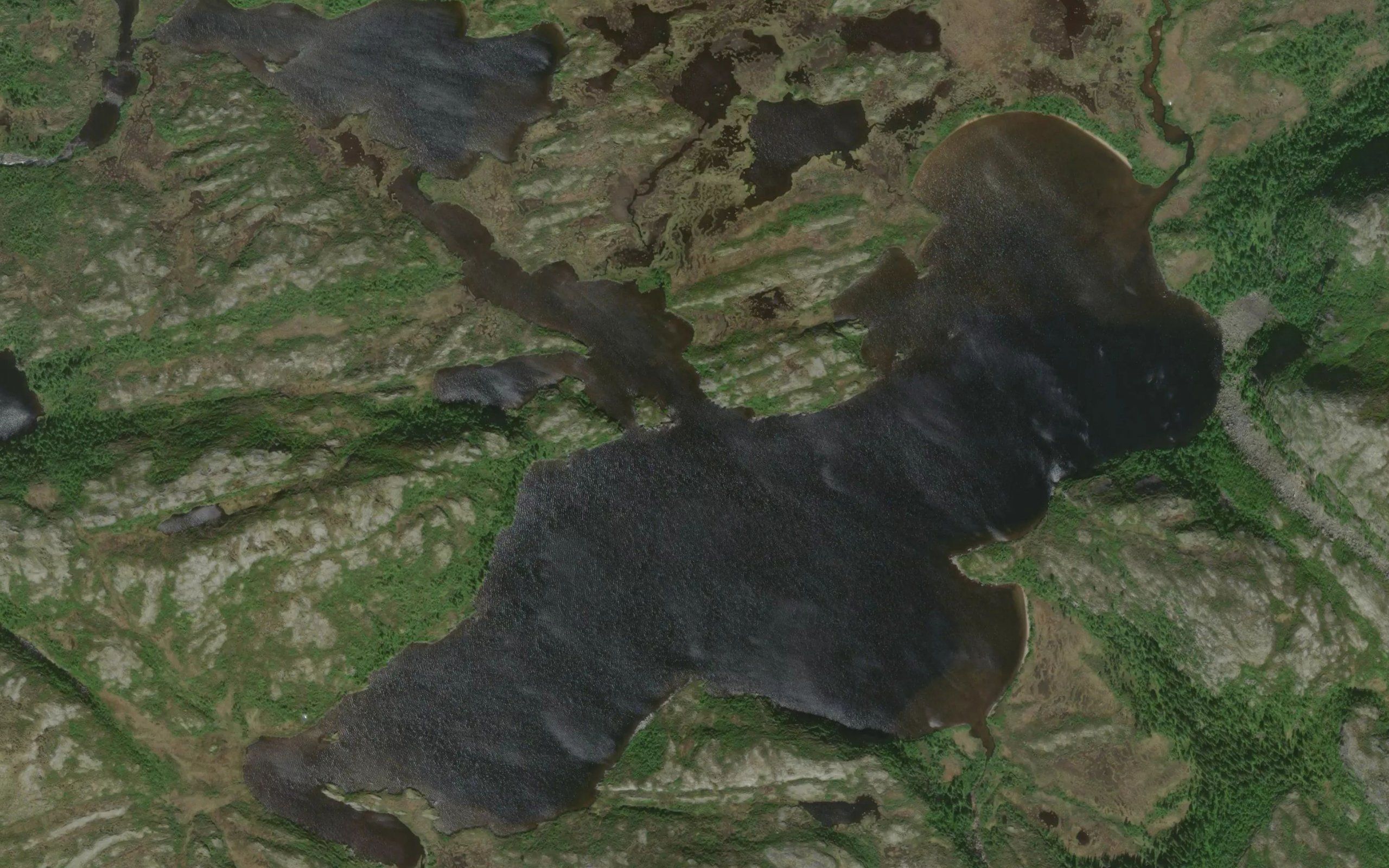 Rorvatnet