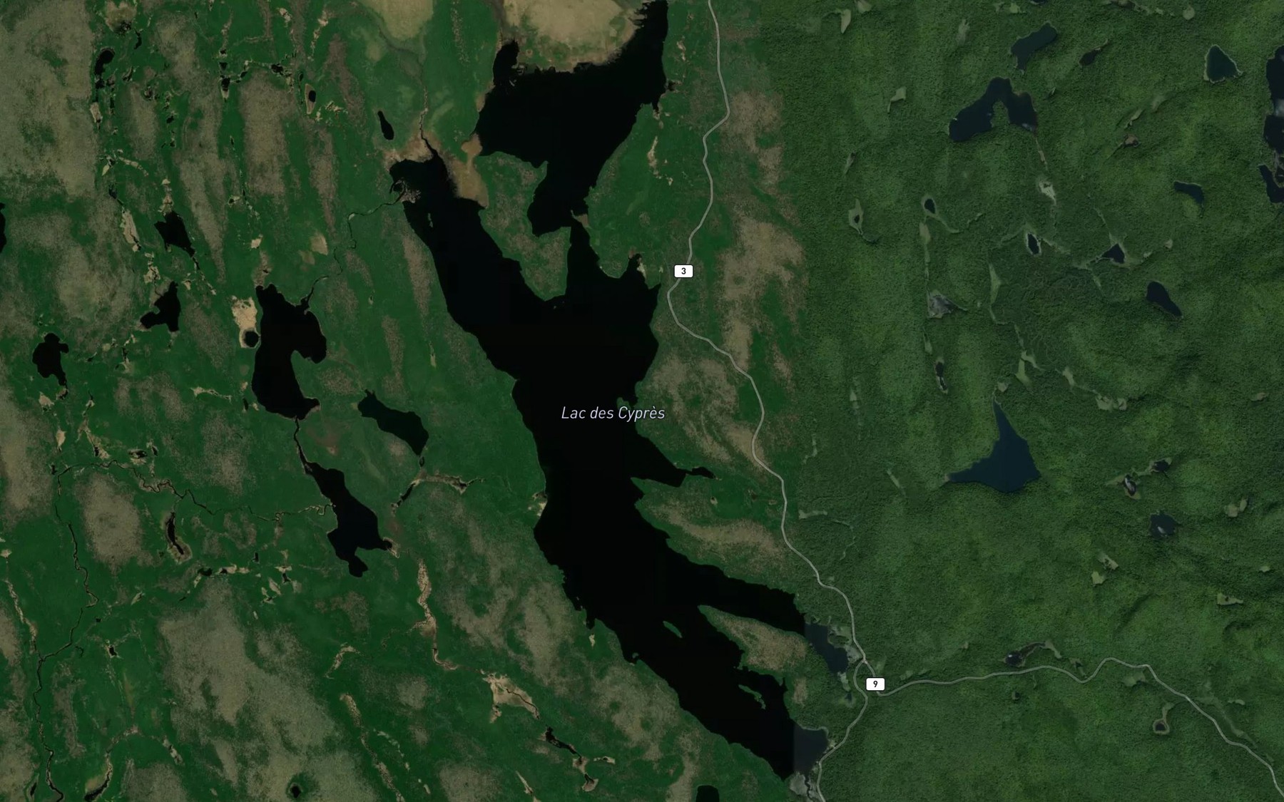 Satellite map of the Lac Forbes