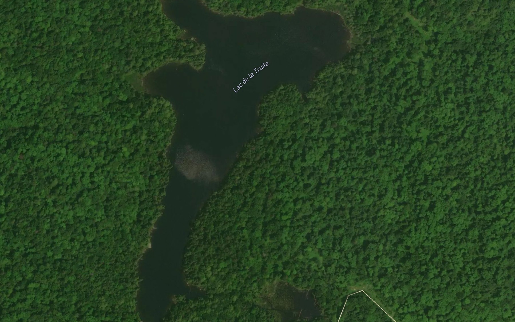 Satellite map of the Lac de la Truite