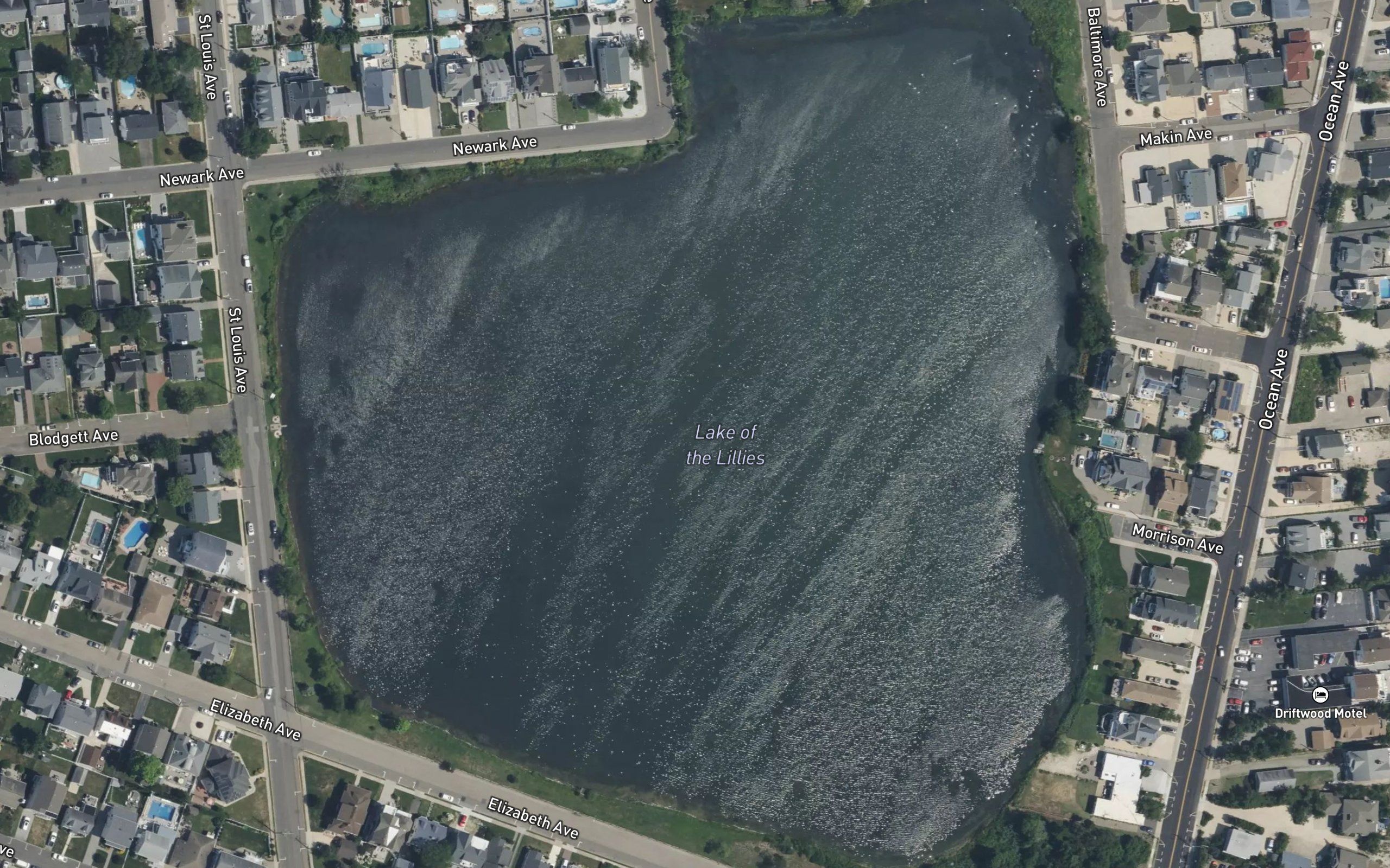 Lake of the Lilies