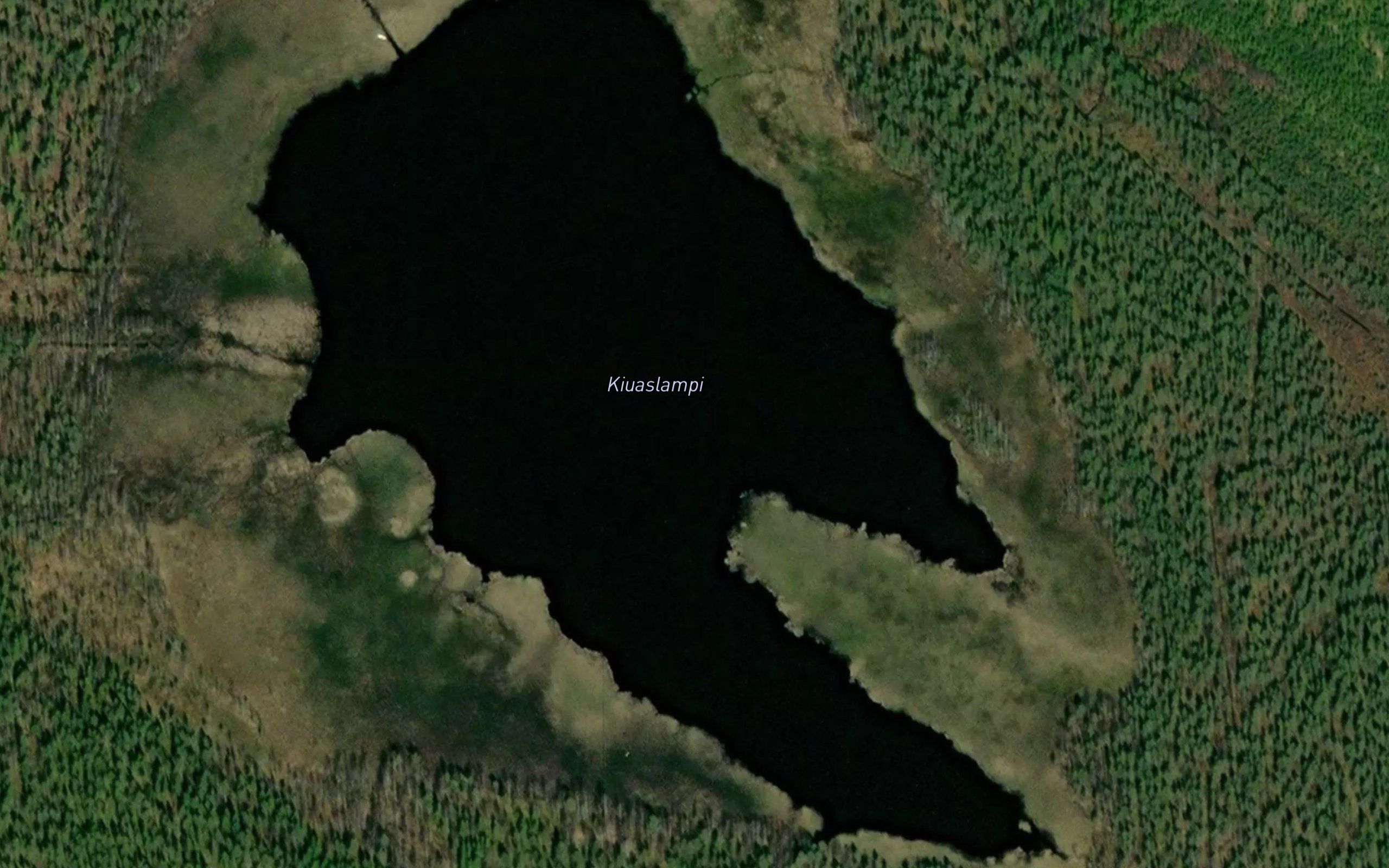 Kiuaslampi