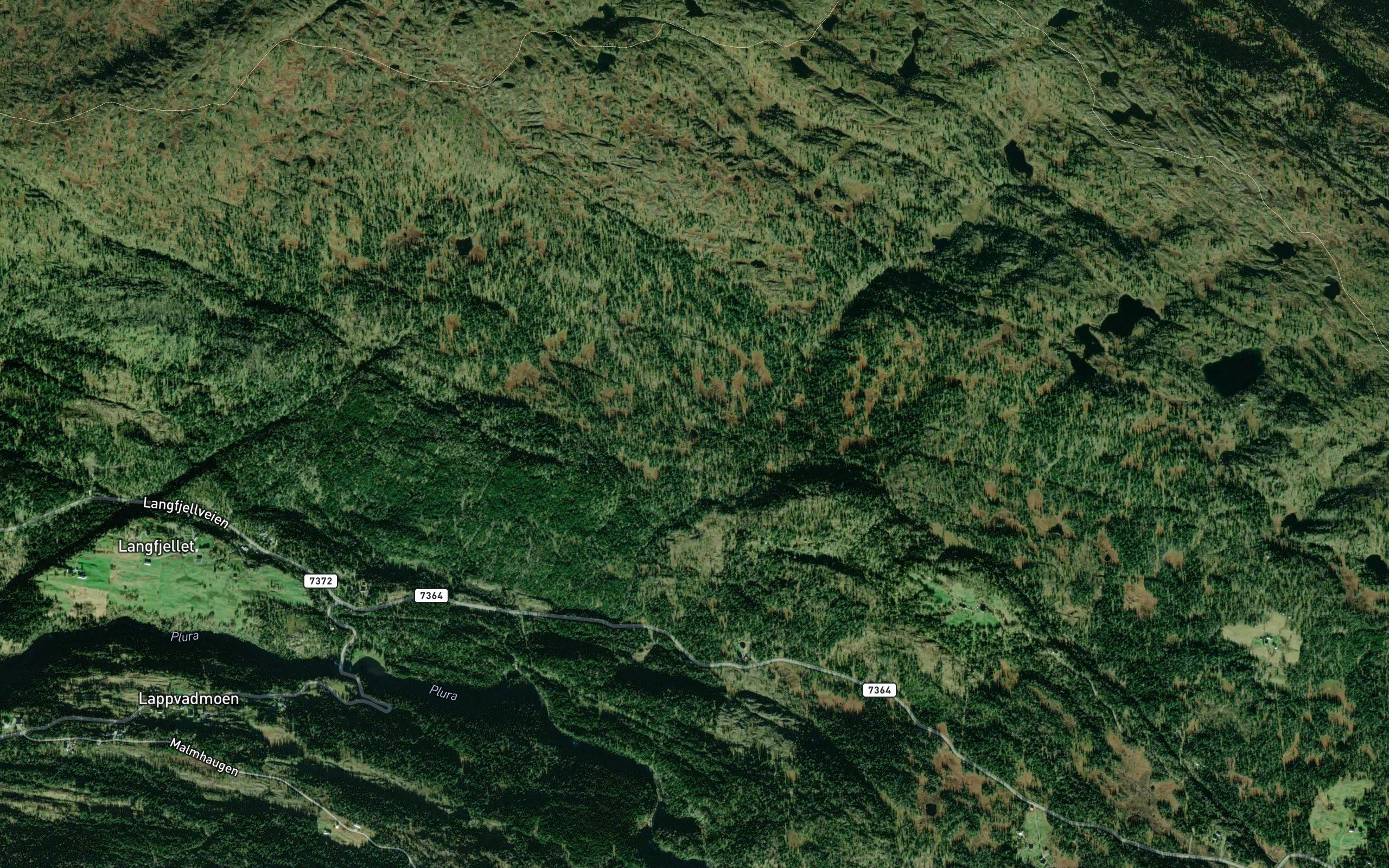 Sniltjorna
