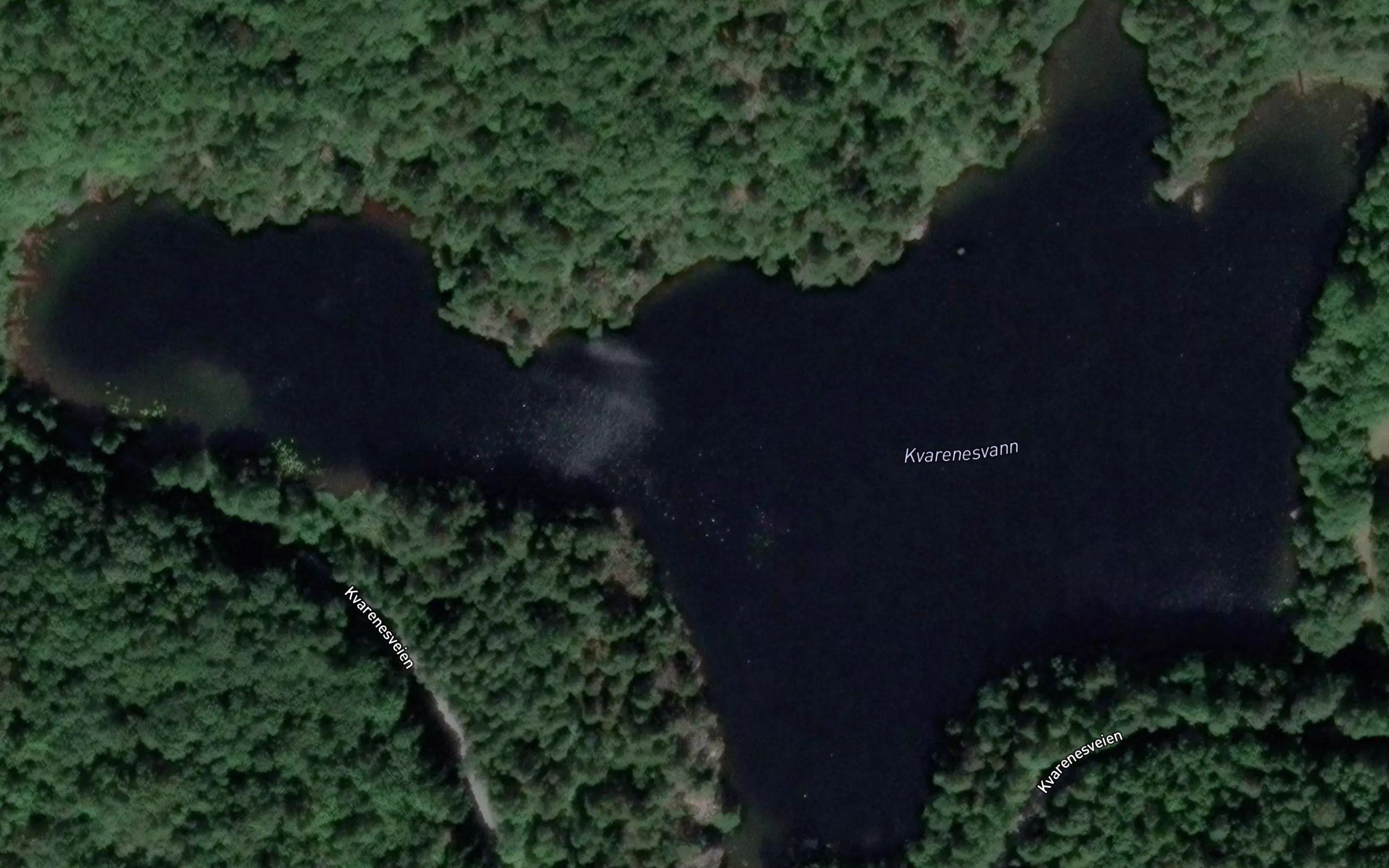 Kvarenesvann