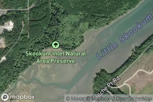 Elson Creek