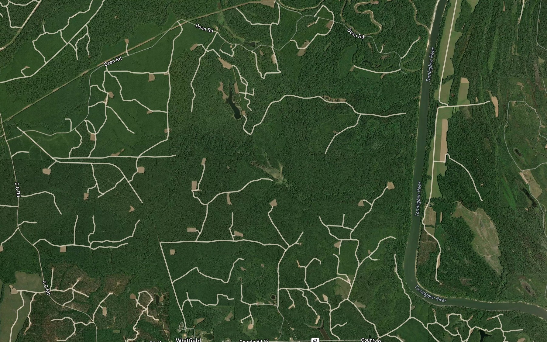 Satellite map of the Duck Pond