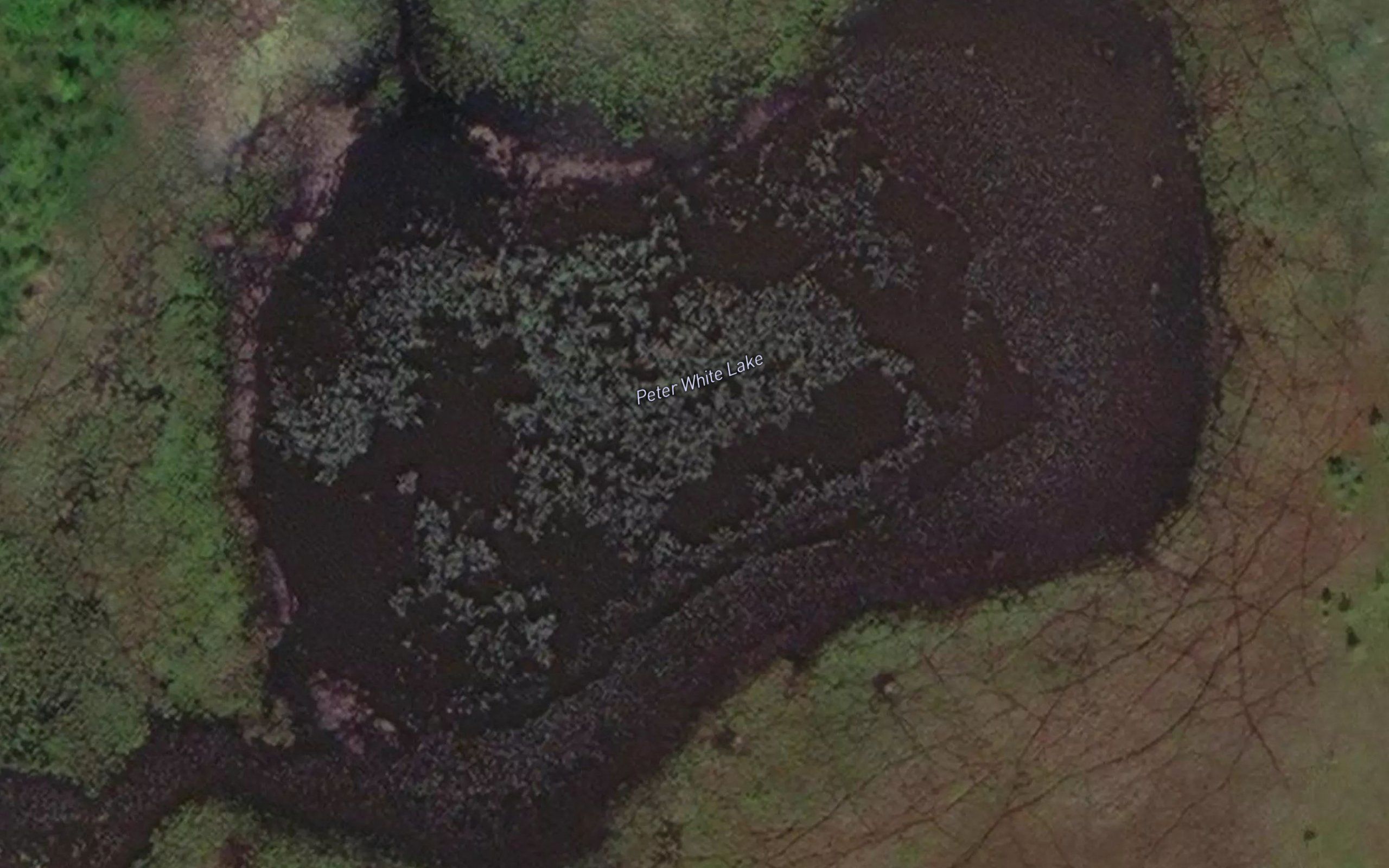 Peter White Lake