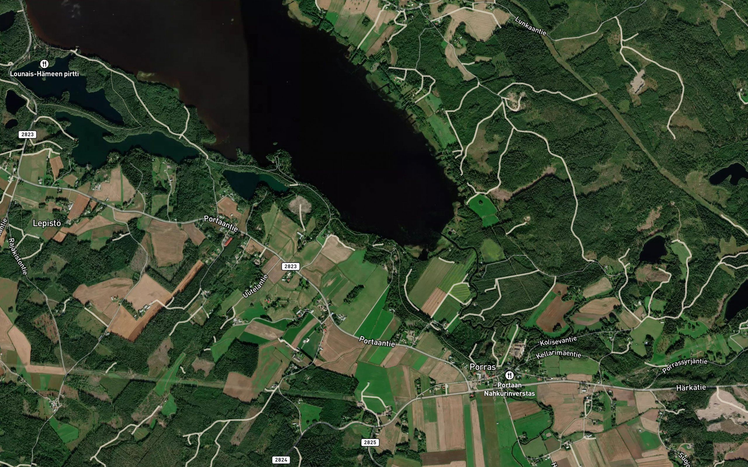 Litinoja