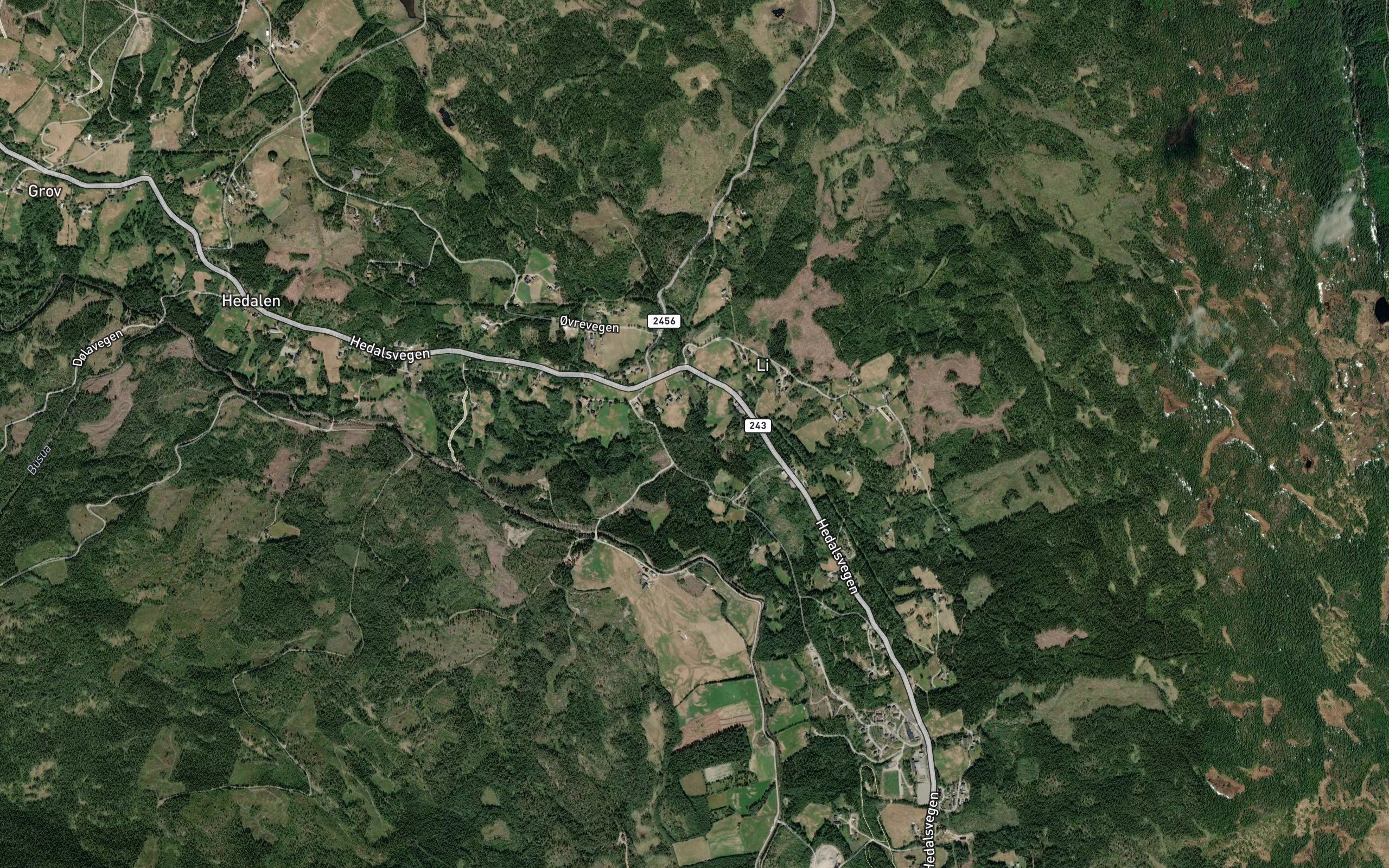 Vesleelva