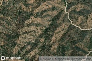 Hog Spring