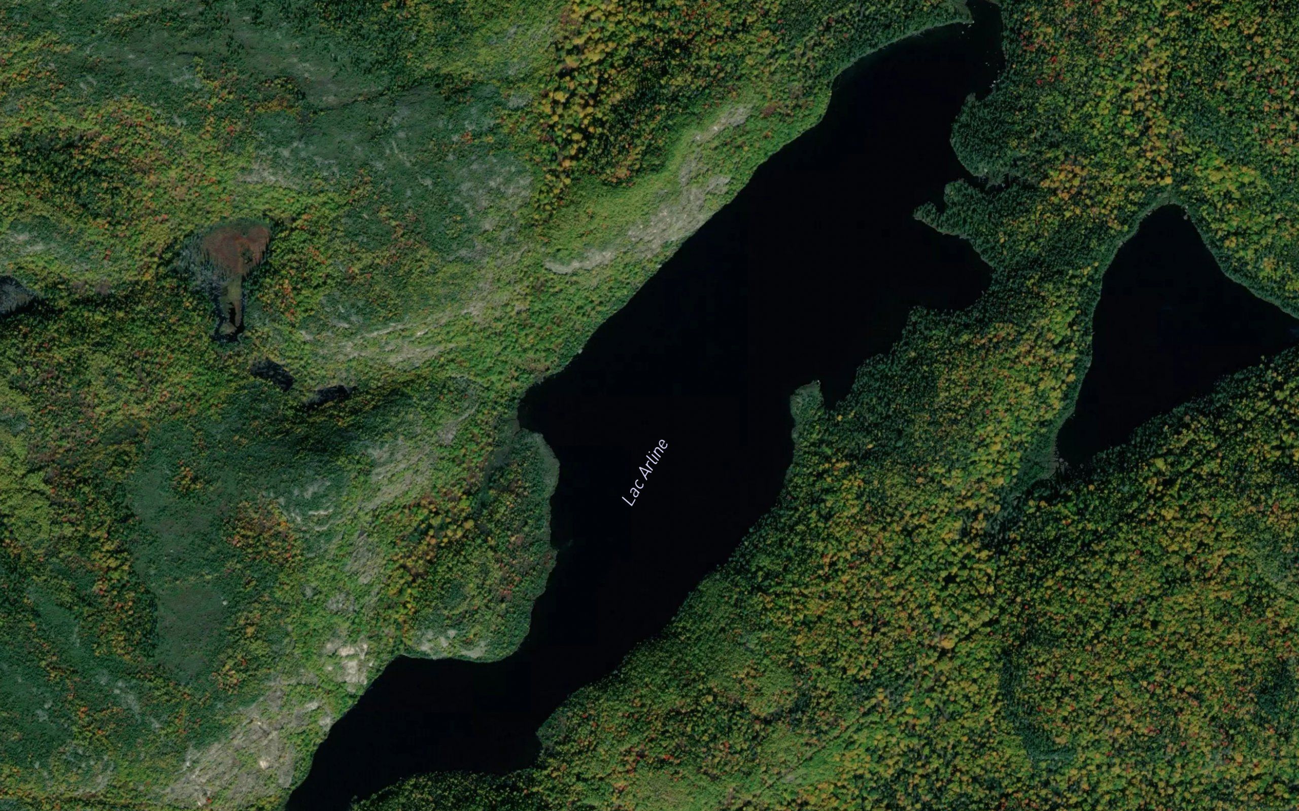 Lac Arline