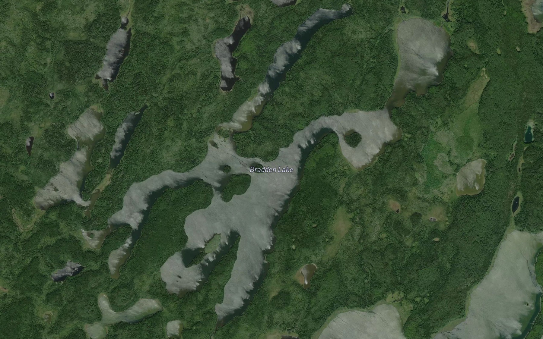 Satellite map of the Bradden Lake