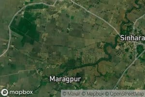 Bela Masudpur Branch