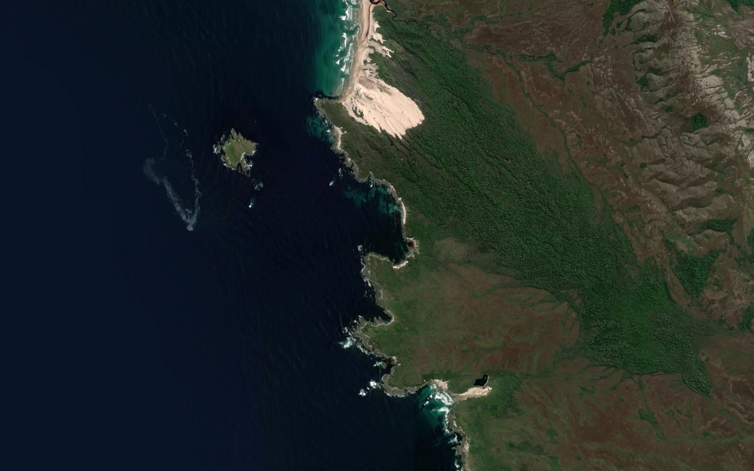 Alfhild Bight