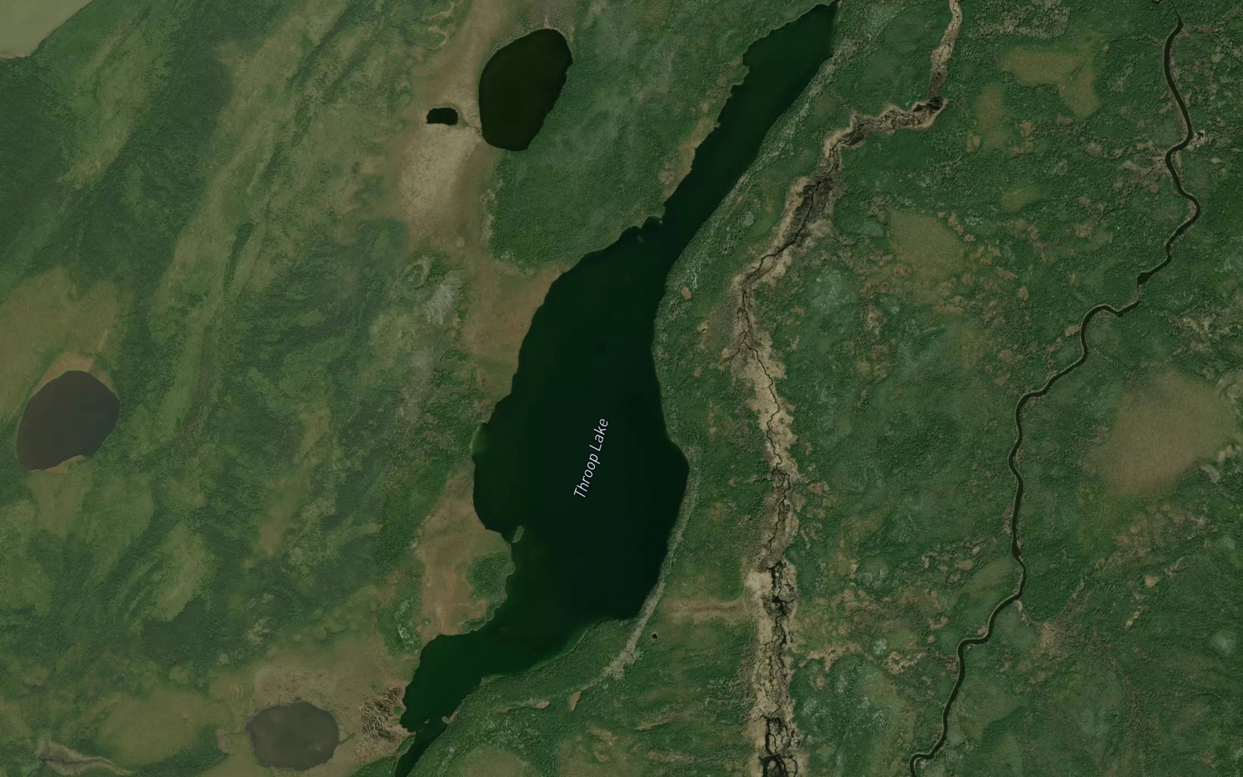 Satellite map of the Throop Lake