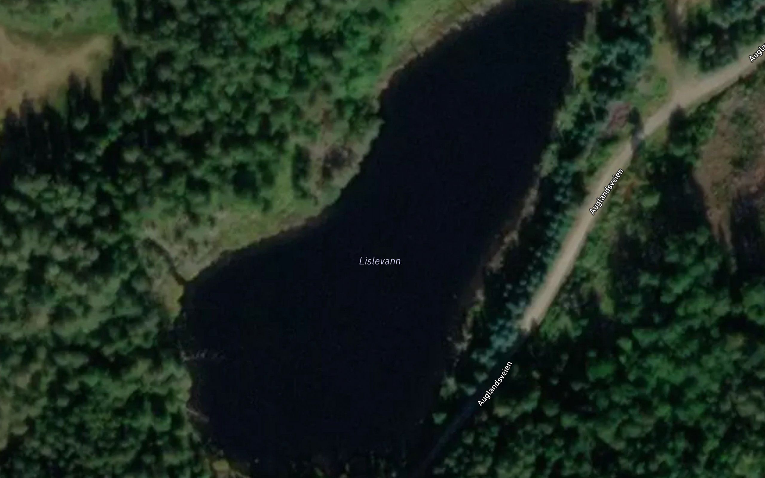 Lislevann