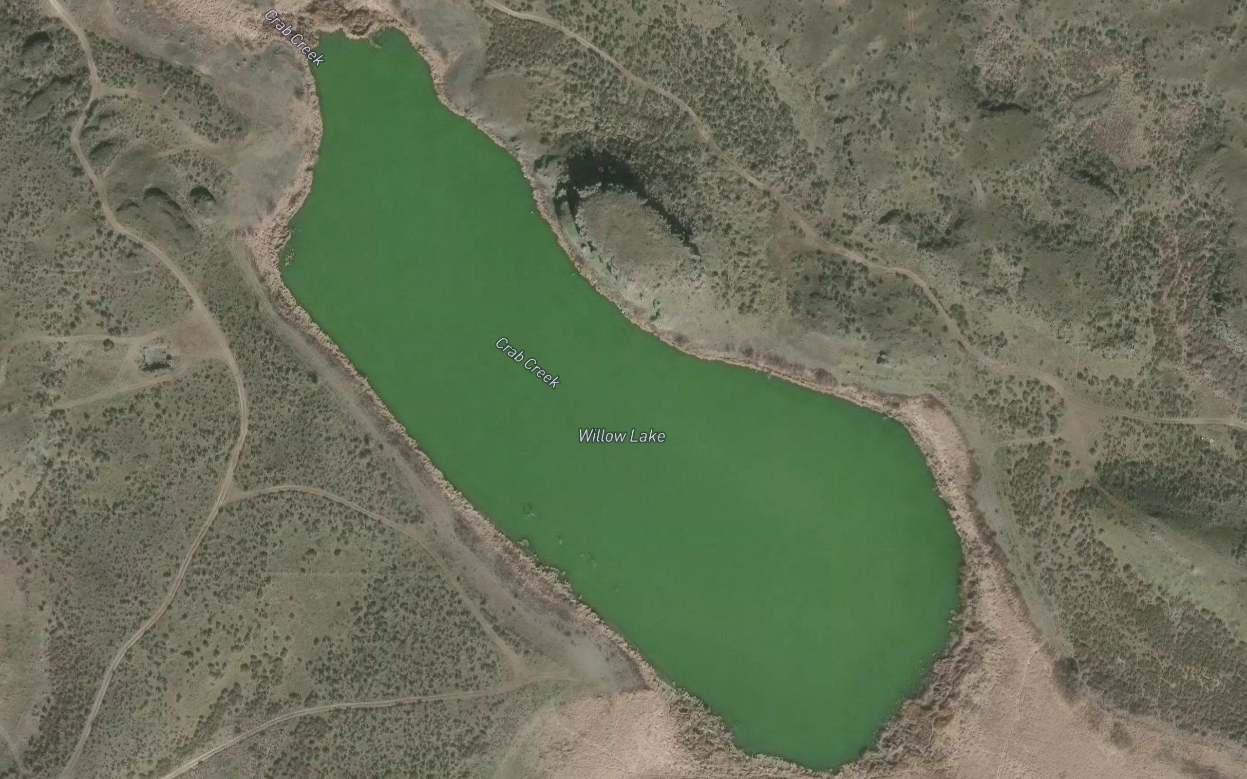 Willow Lake
