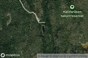 Halvfartjern