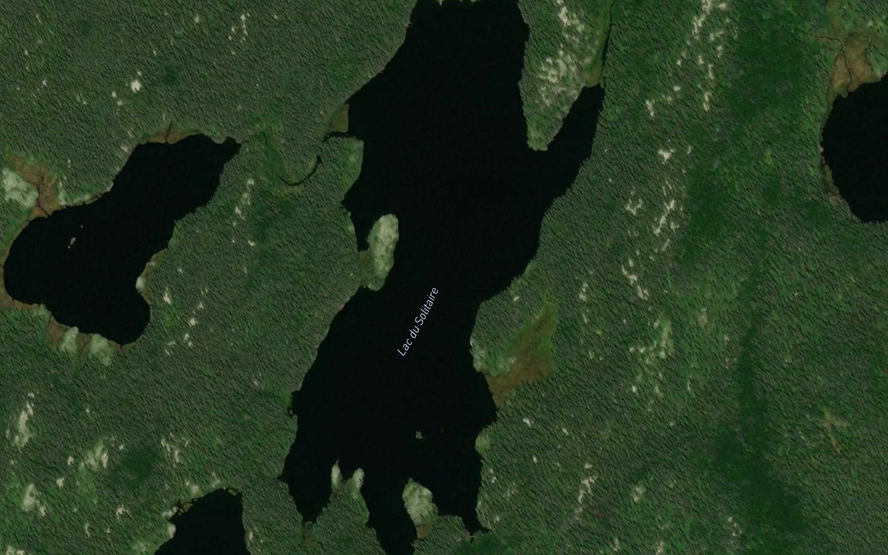 Satellite map of the Lac du Solitaire