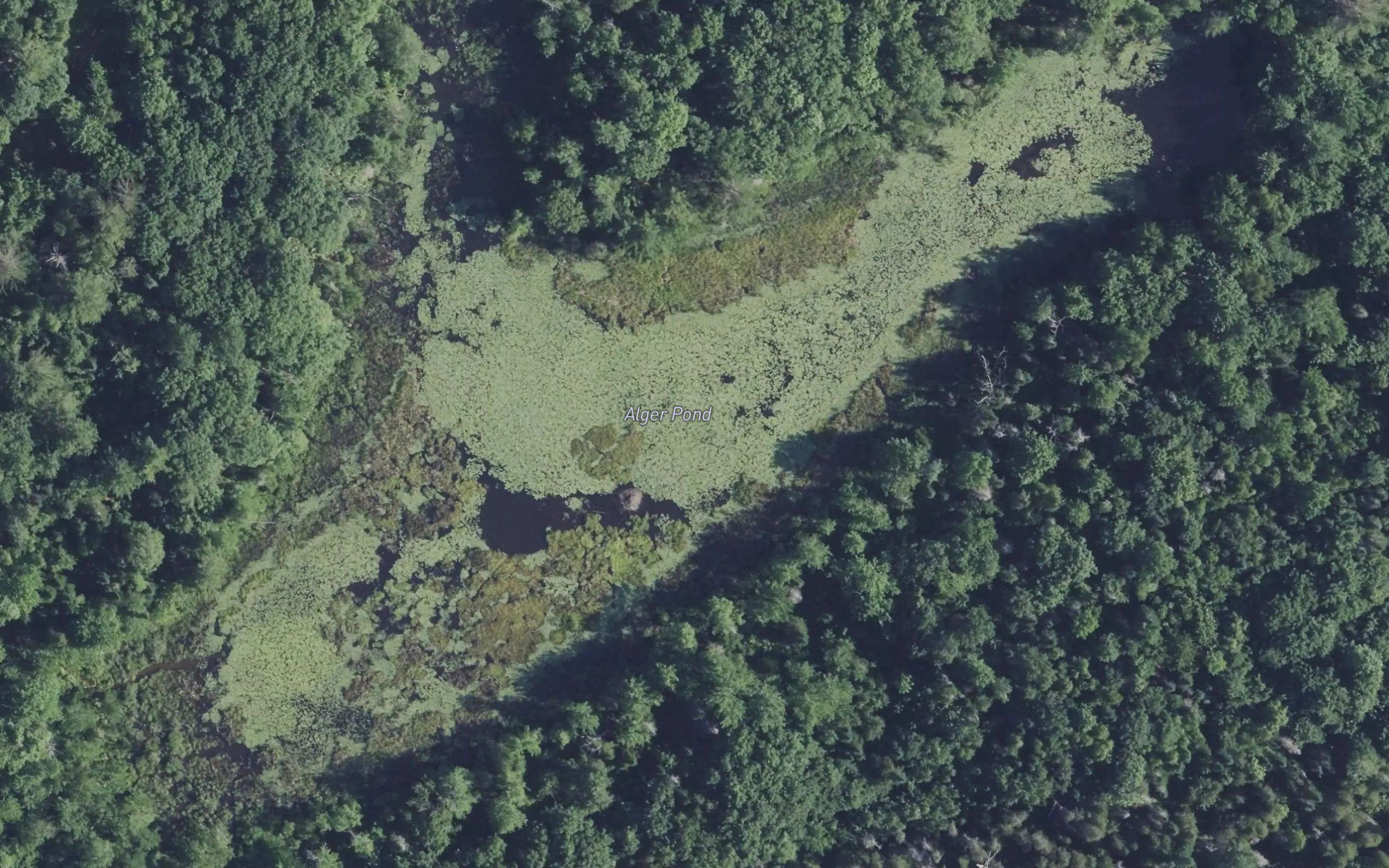 Alger Pond