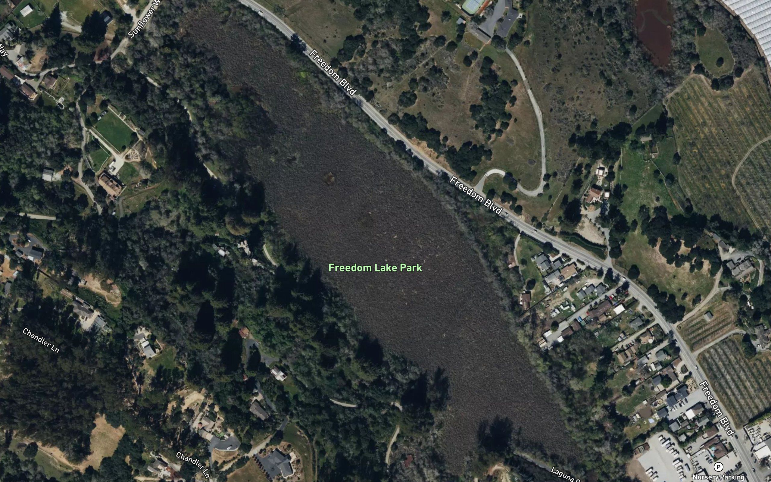 Corralitos Lagoon