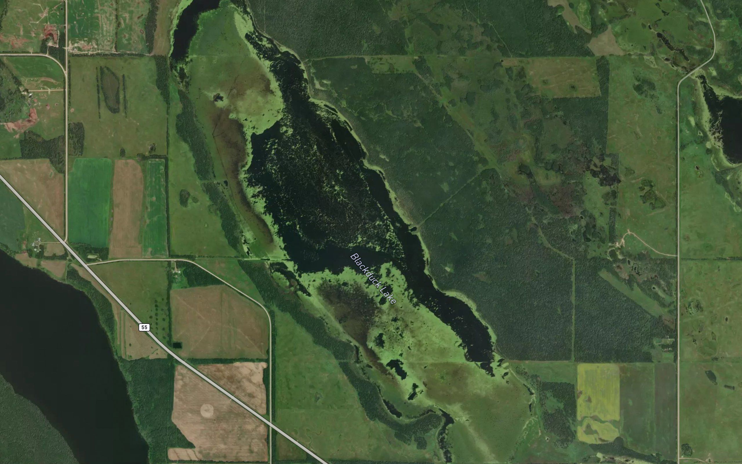Blackduck Lake